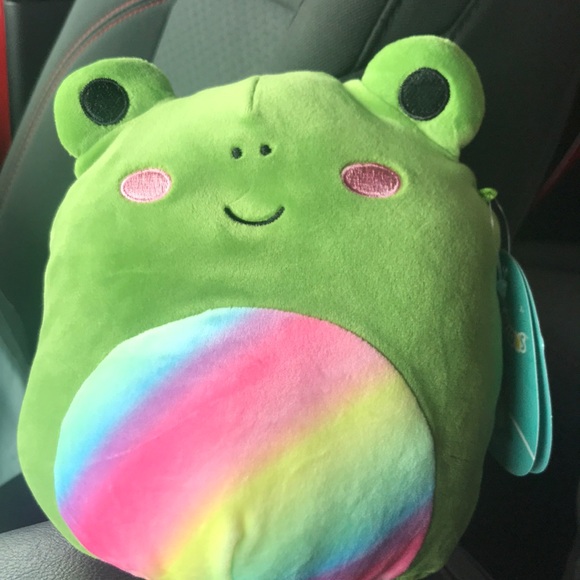Squishmallows Toys Doxl The Rainbow Frog Squishmallow Poshmark